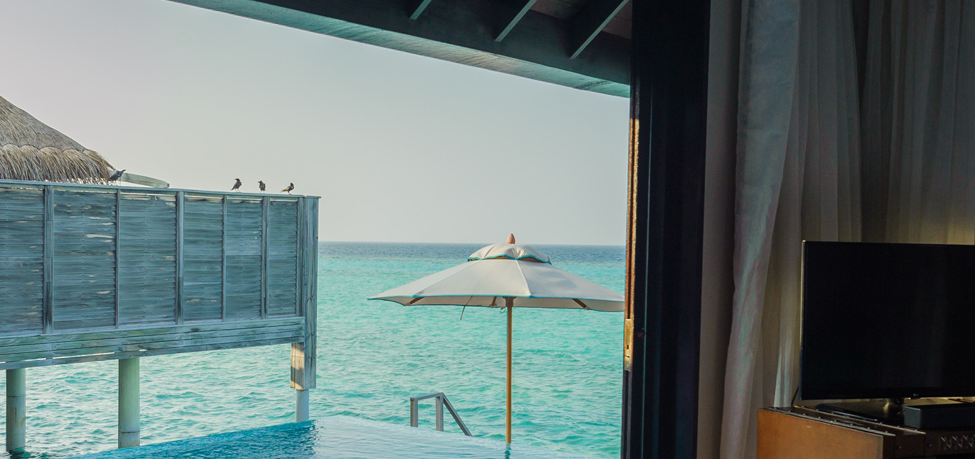 In time you’ll run a hotel ?